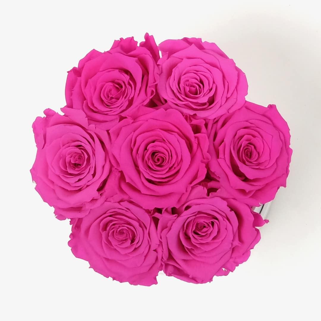 Medium Bloom Rose Box - Hot Pink Rose - White Box