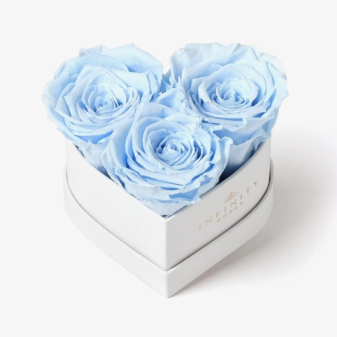 Small Heart Box - Baby Blue Rose - White Box