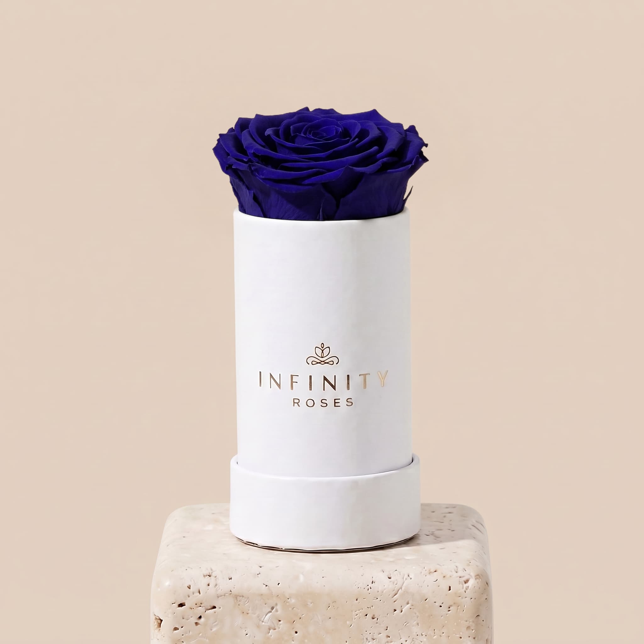 Single Rose Box - Royal Blue Rose - White Box