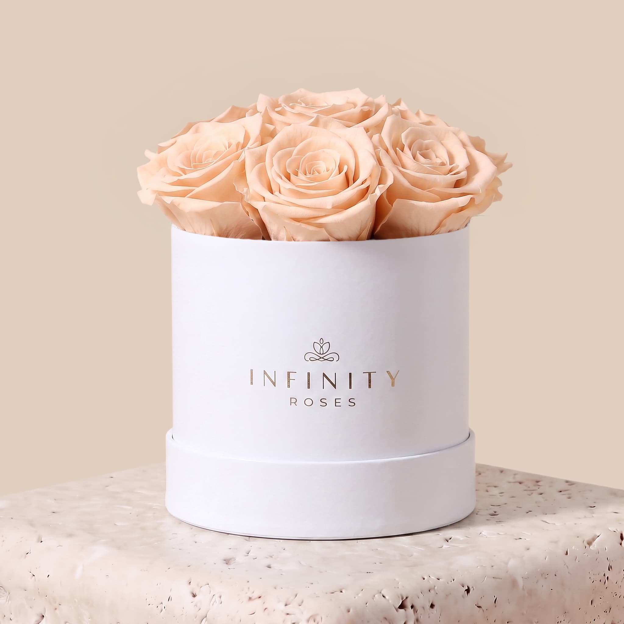 Medium Bloom Rose Box - Champagne Rose - White Box