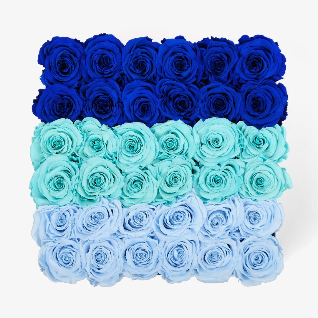 Grand Ombre Square Box - Blue Ombre Rose - White Box