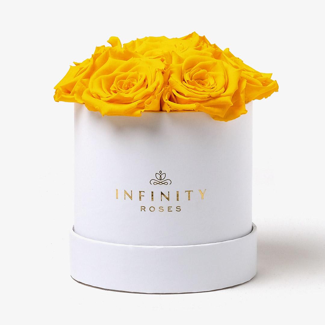Medium Bloom Rose Box - Yellow Rose - White Box