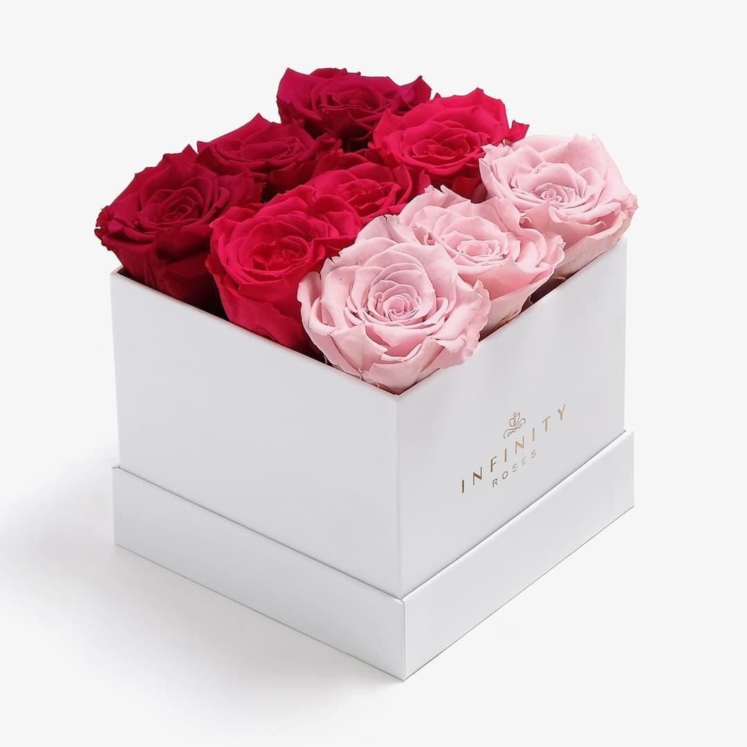 Medium Ombre Box - Pink Ombre Rose - White Box