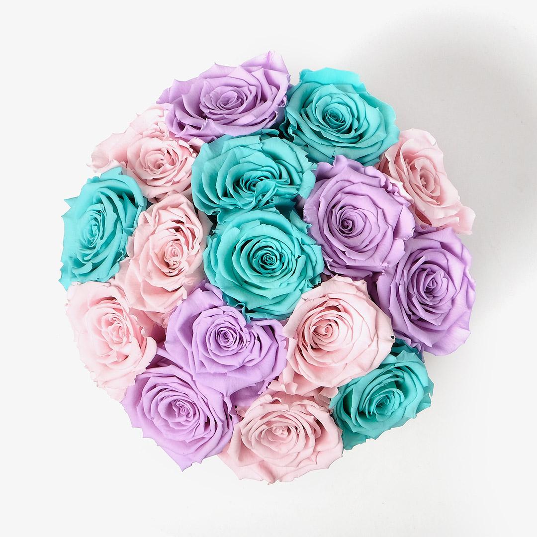Large Bloom Ombre - Pastel Ombre Rose - White Box