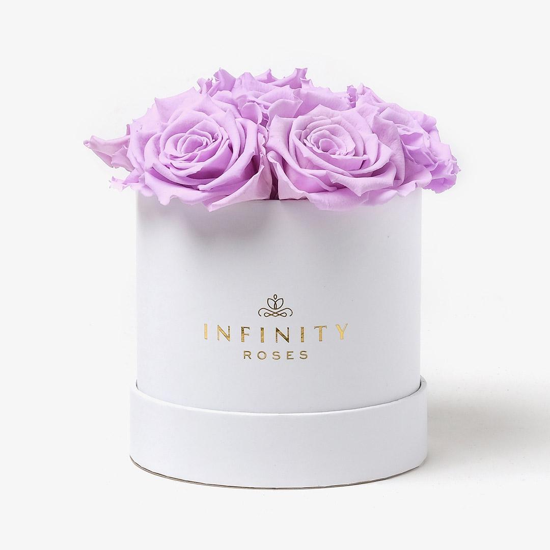 Medium Bloom Rose Box - Lavender Rose - White Box