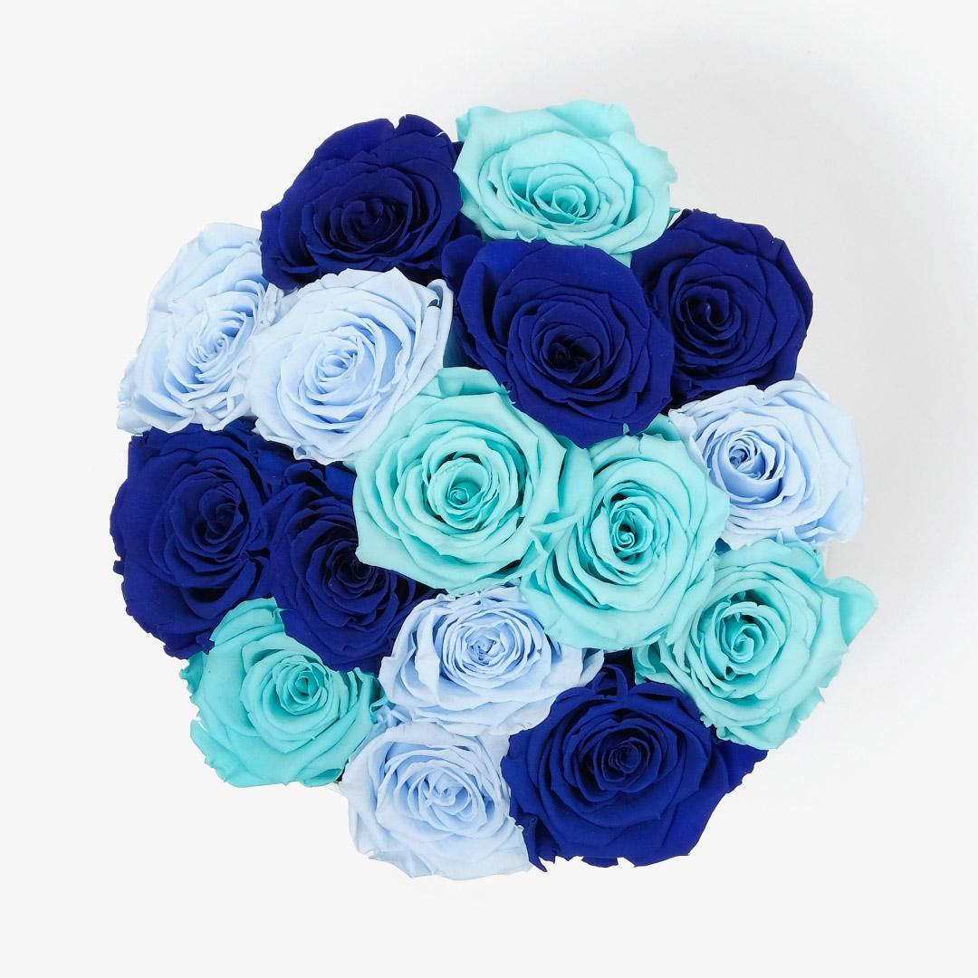 Large Bloom Ombre - Blue Ombre Rose - Black Box