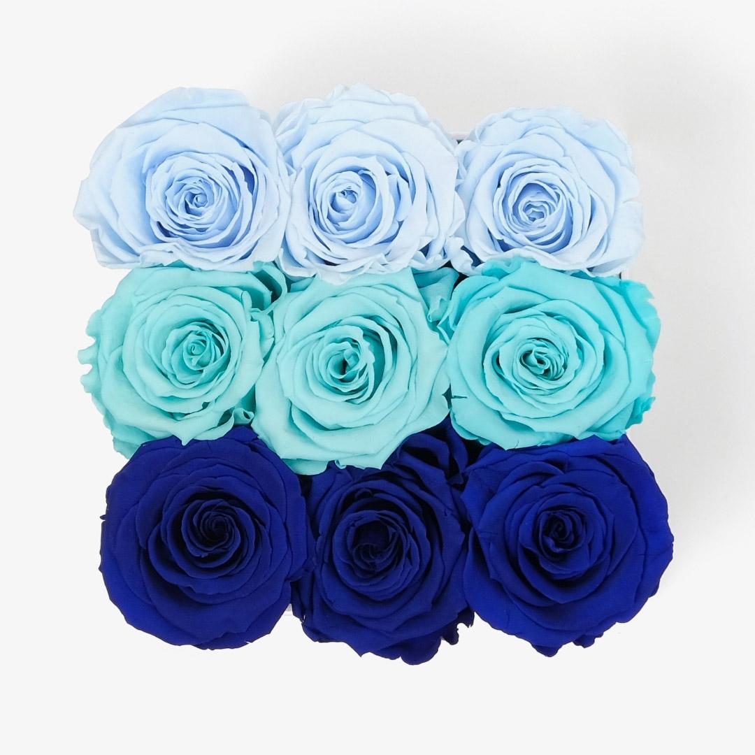 Medium Ombre Box - Blue Ombre Rose - Black Box