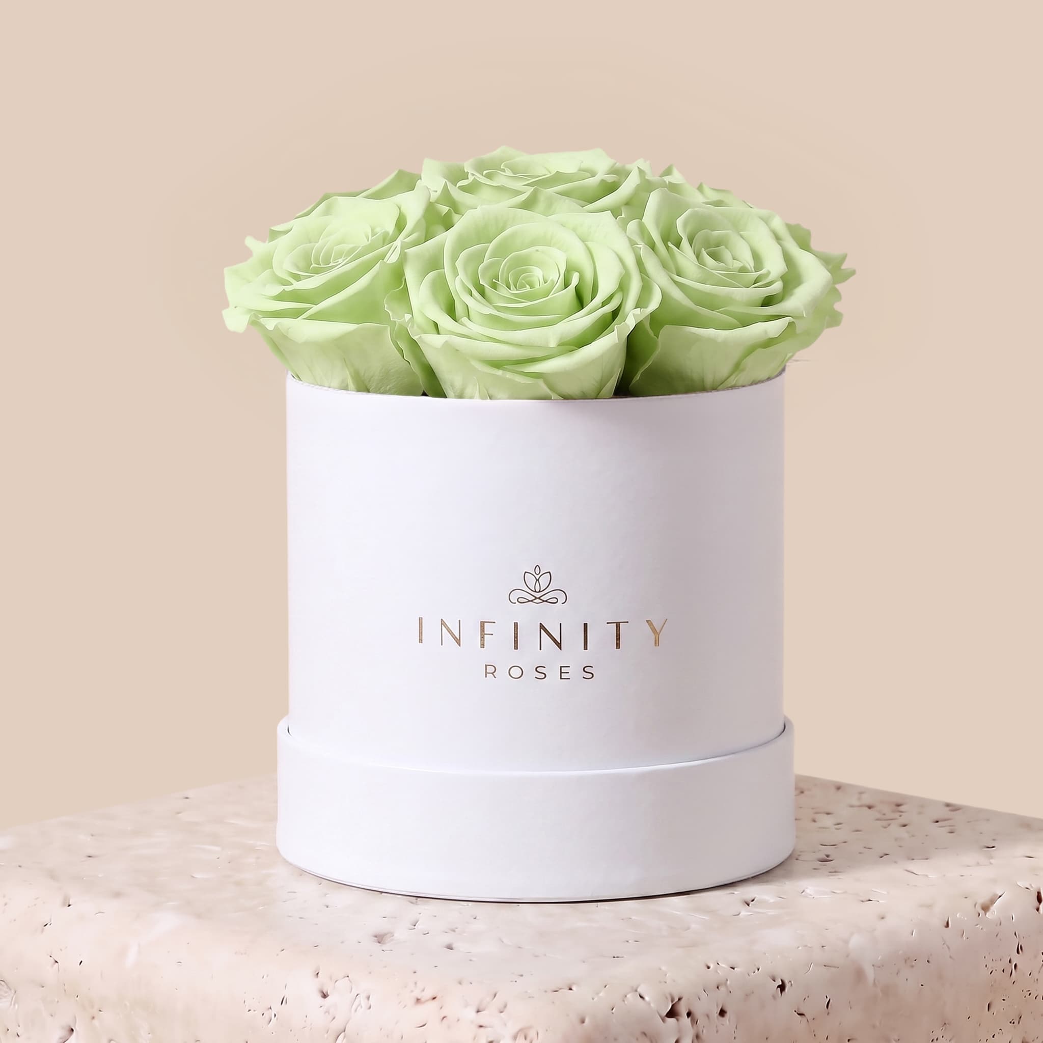 Medium Bloom Rose Box - Mint Rose - White Box