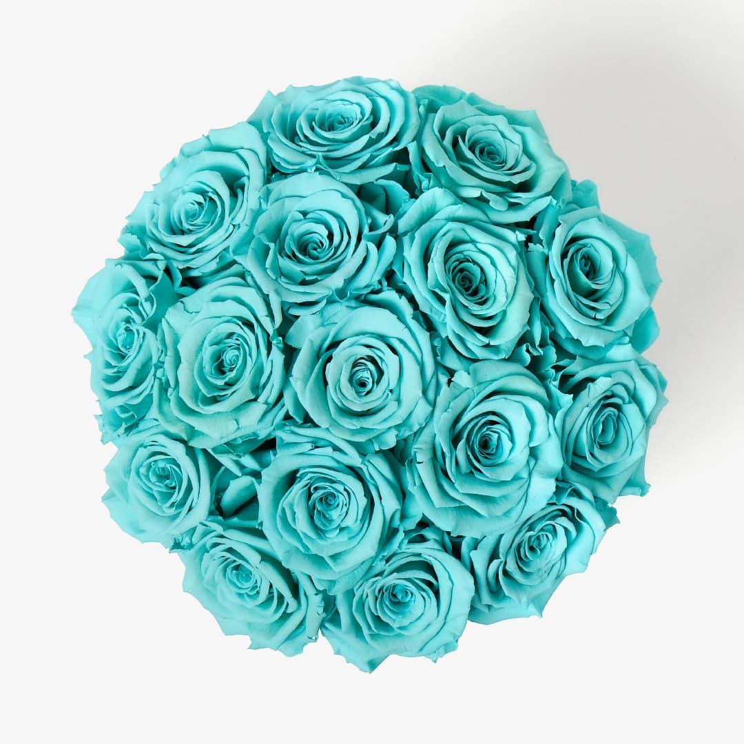 Large Bloom Rose Box - Turquoise Rose - Black Box