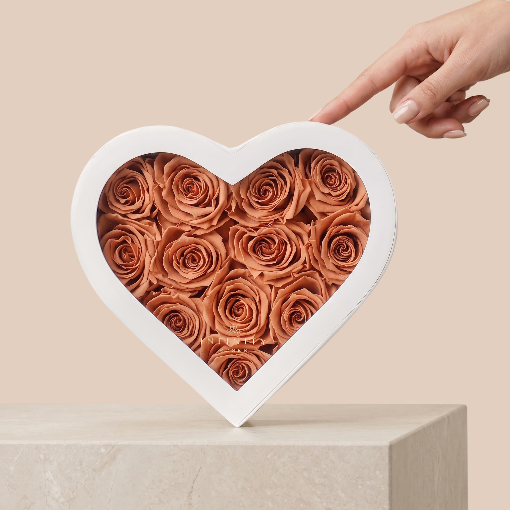 Medium Heart Box - Chocolate Rose - White Box