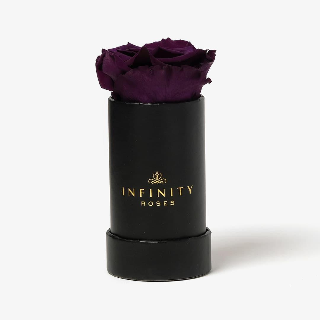 Single Rose Box - Violet Rose - Black Box