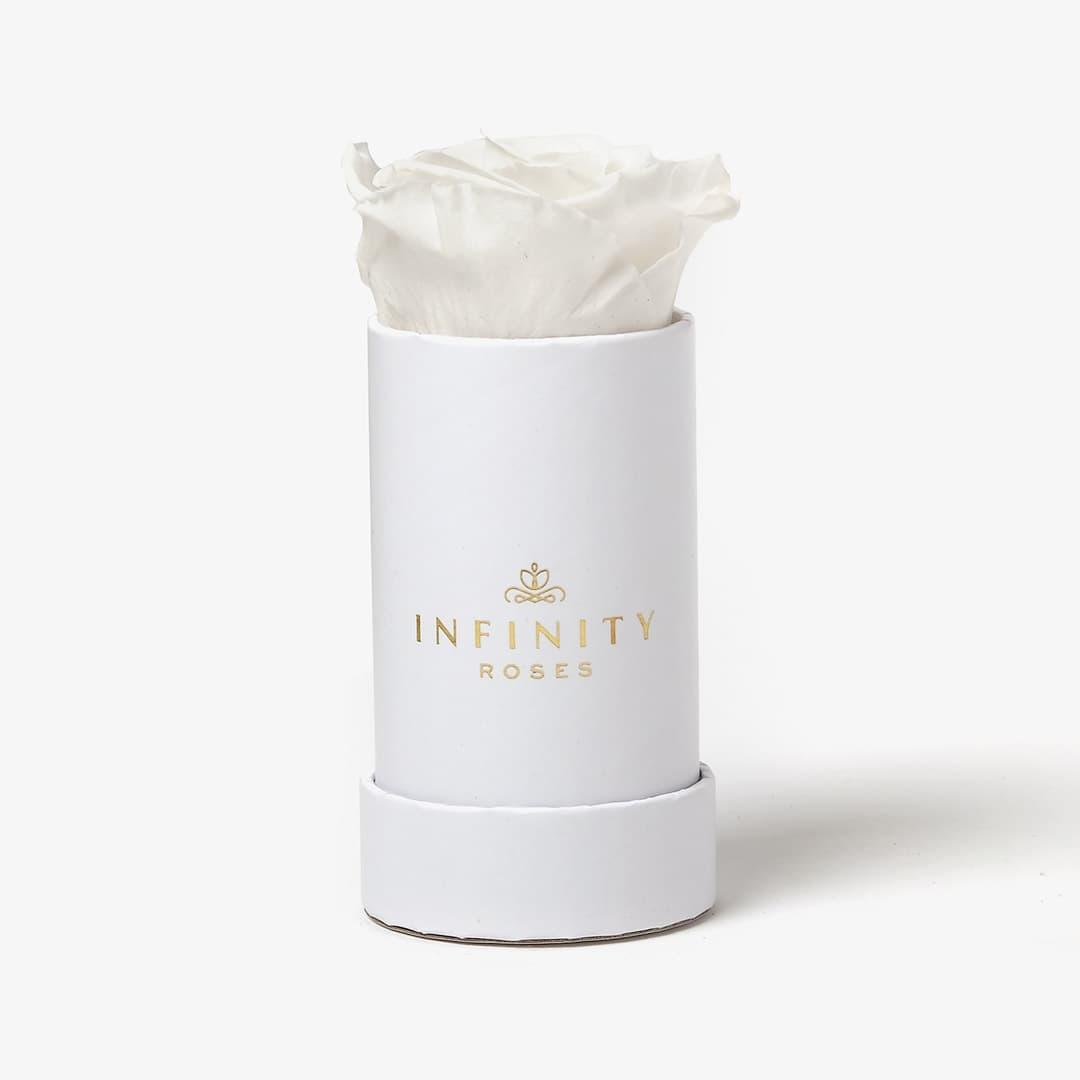 Single Rose Box - White Rose - White Box