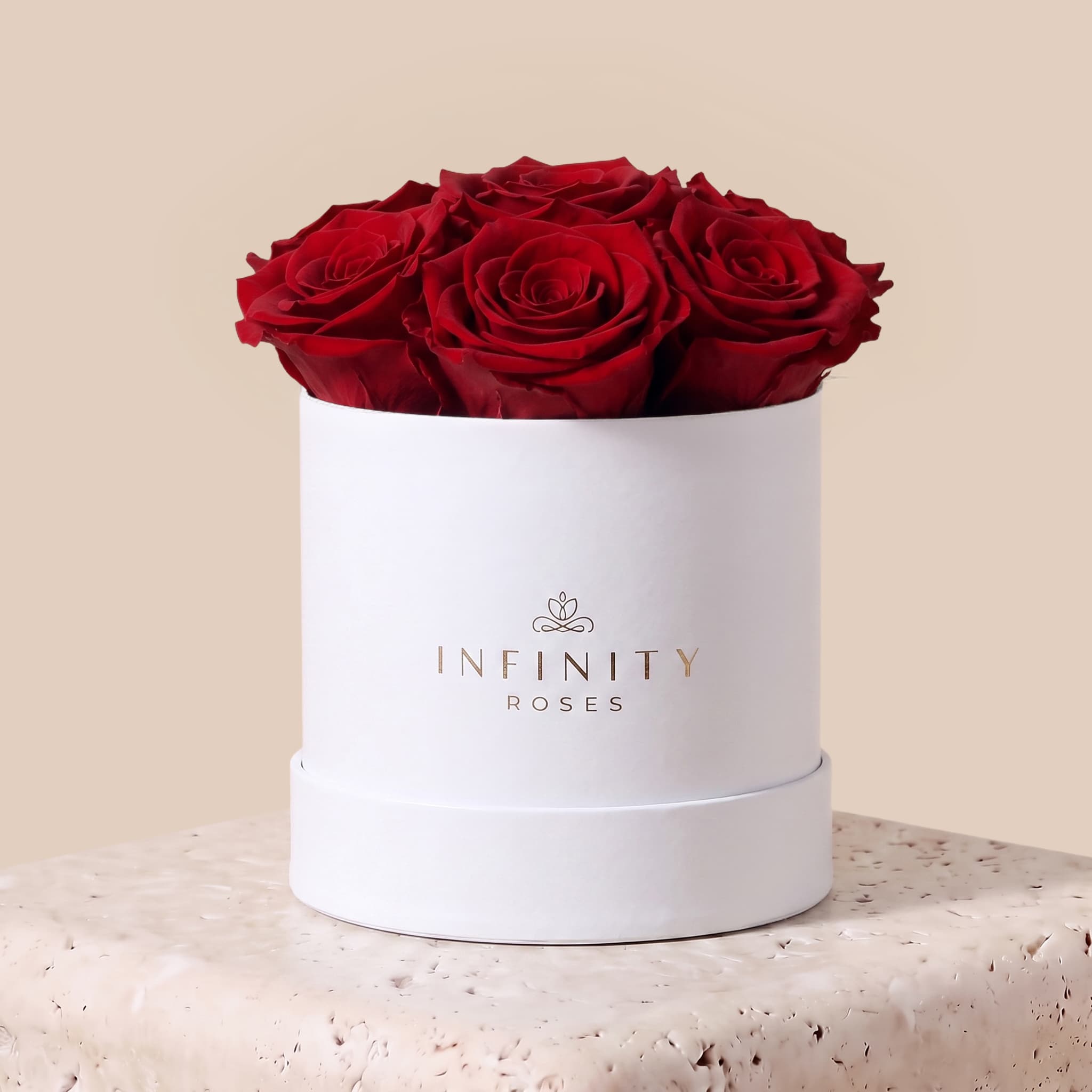 Medium Bloom Rose Box - Red Rose - White Box