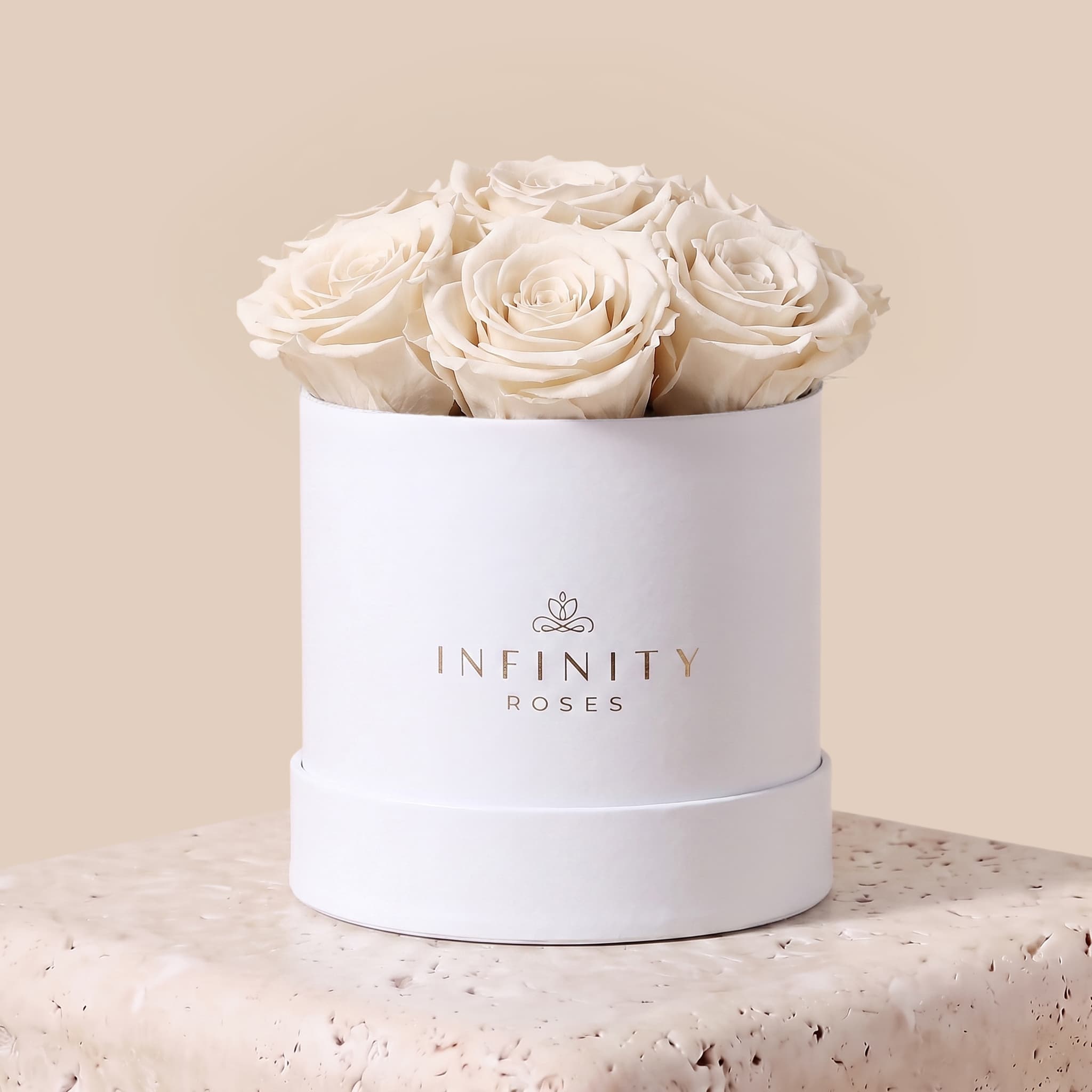 Medium Bloom Rose Box - Ivory Rose - White Box