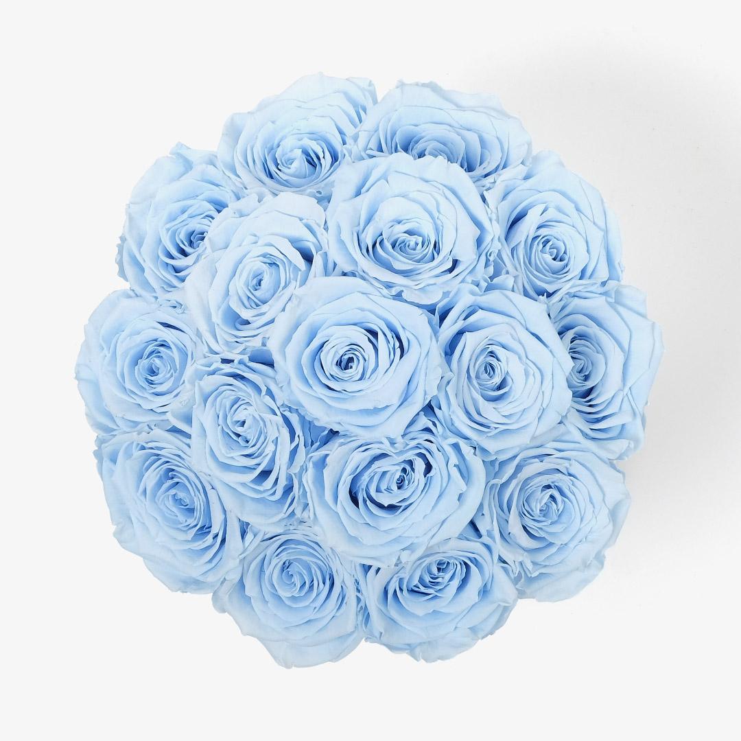 Large Bloom Rose Box - Baby Blue Rose - White Box