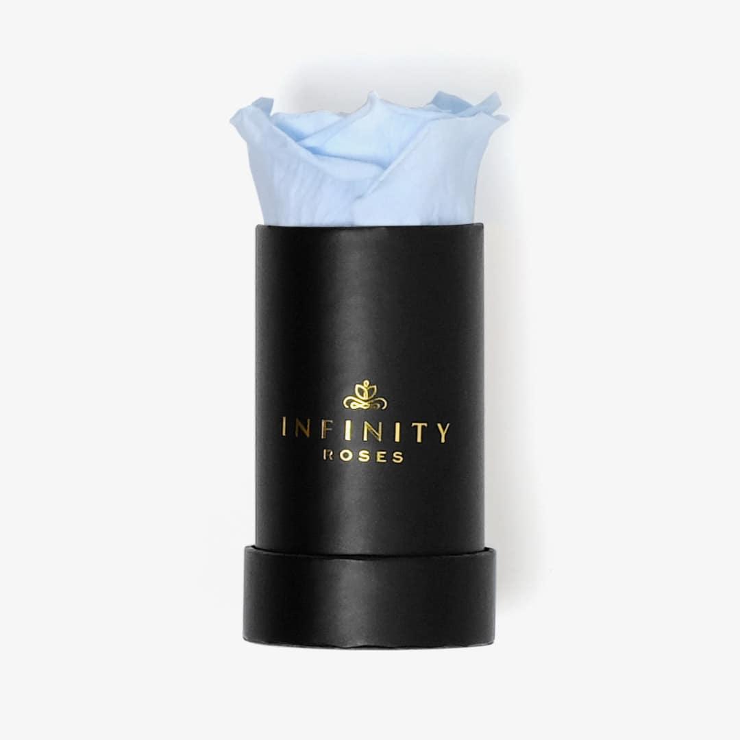 Single Rose Box - Baby Blue Rose - Black Box