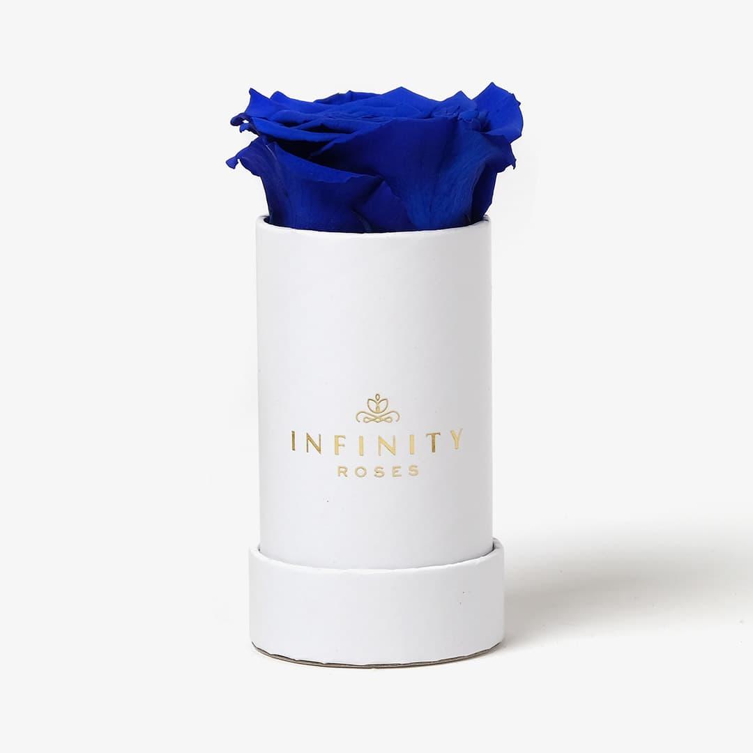 Single Rose Box - Royal Blue Rose - White Box