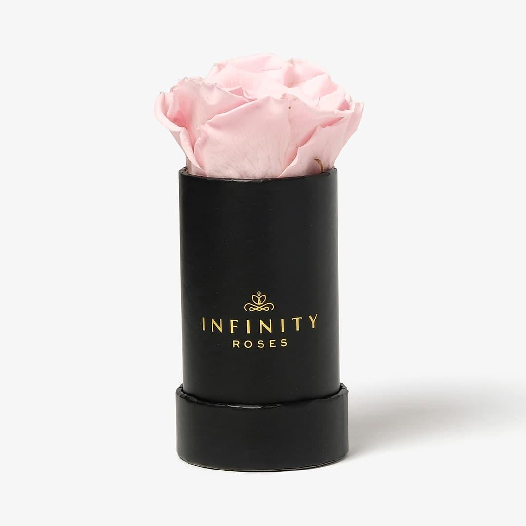 Single Rose Box - Pink Rose - Black Box