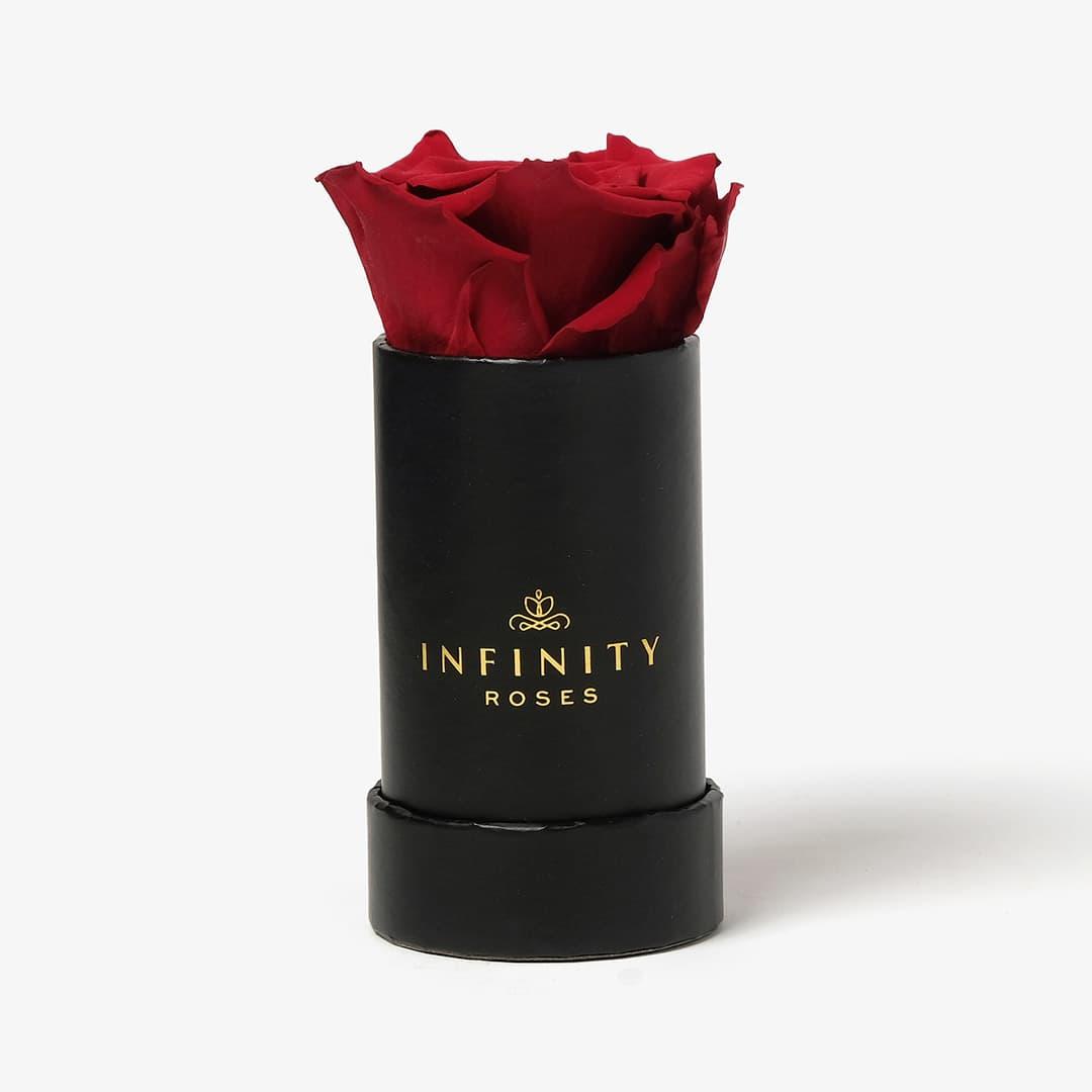 Single Rose Box - Red Rose - Black Box