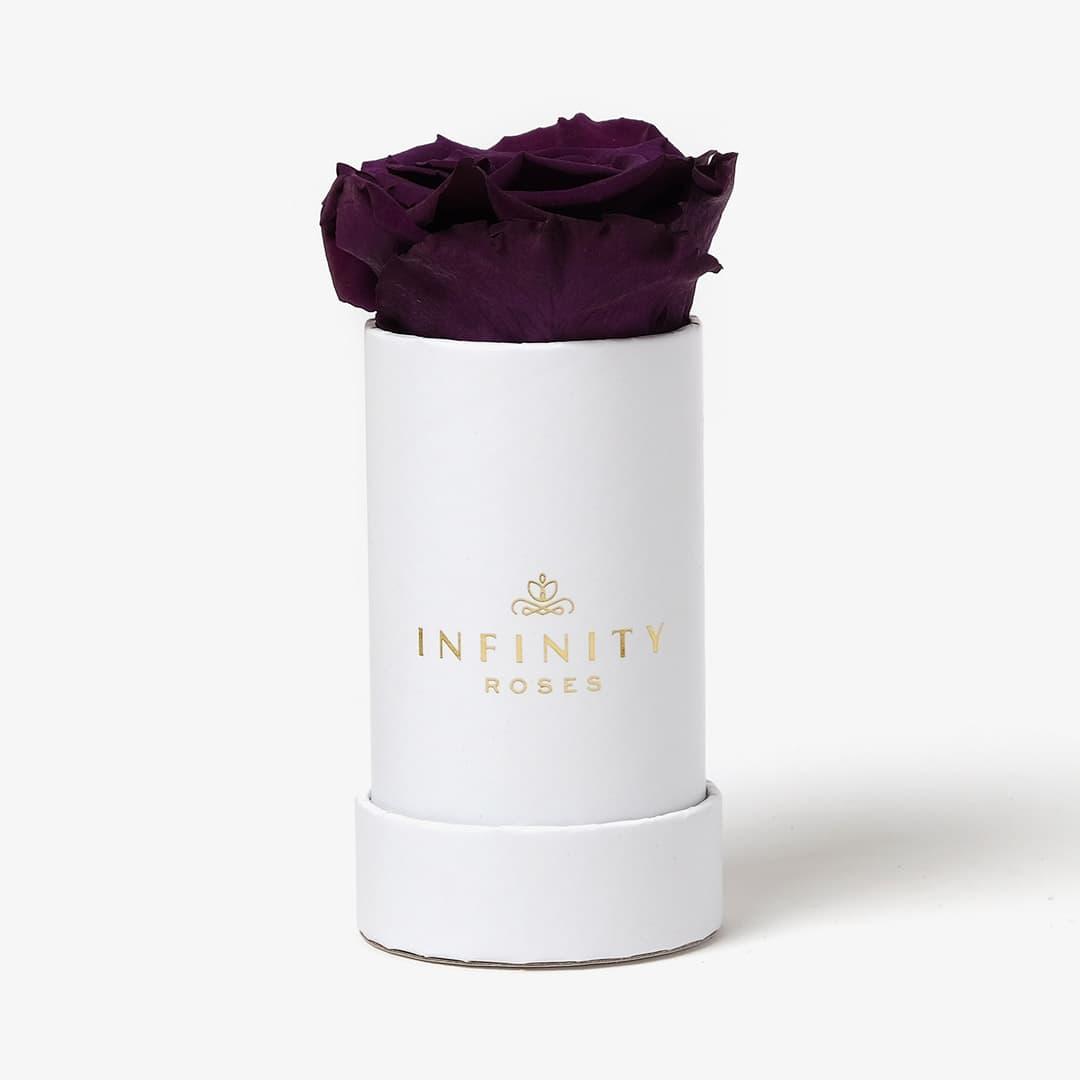Single Rose Box - Violet Rose - White Box