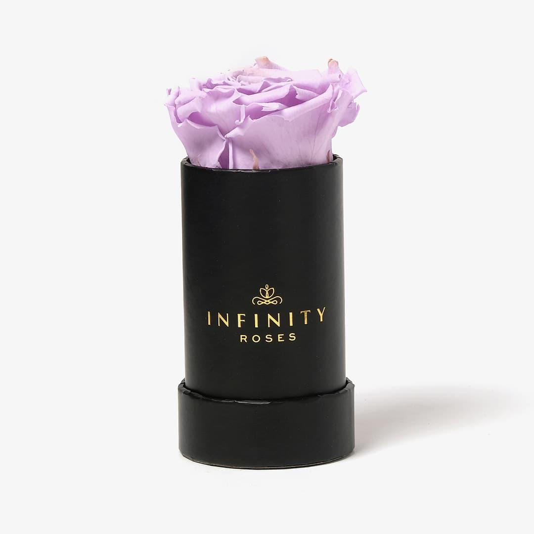 Single Rose Box - Lavender Rose - Black Box