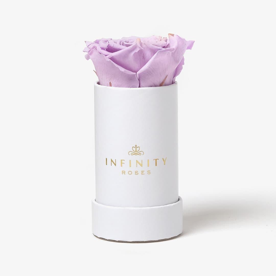 Single Rose Box - Lavender Rose - White Box