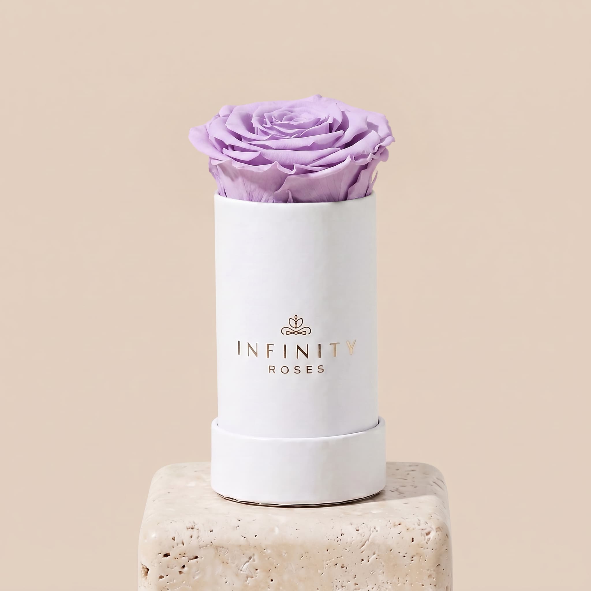 Single Rose Box - Lavender Rose - White Box