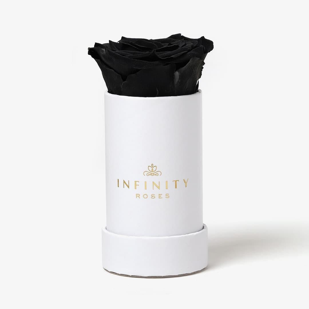 Single Rose Box - Black Rose - White Box