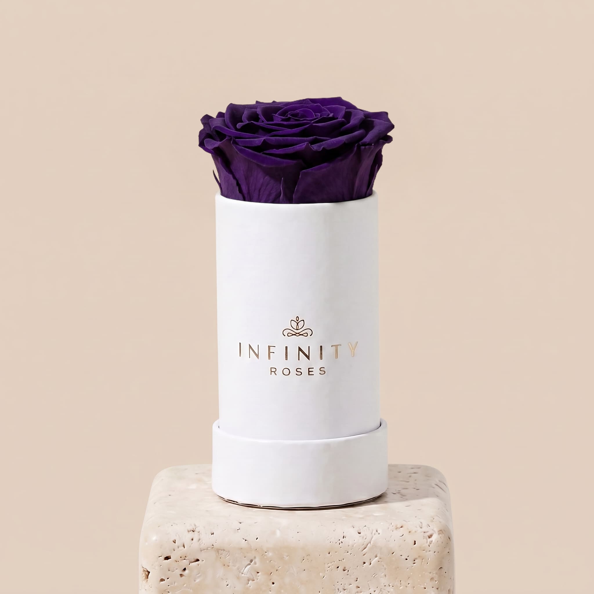Single Rose Box - Violet Rose - White Box