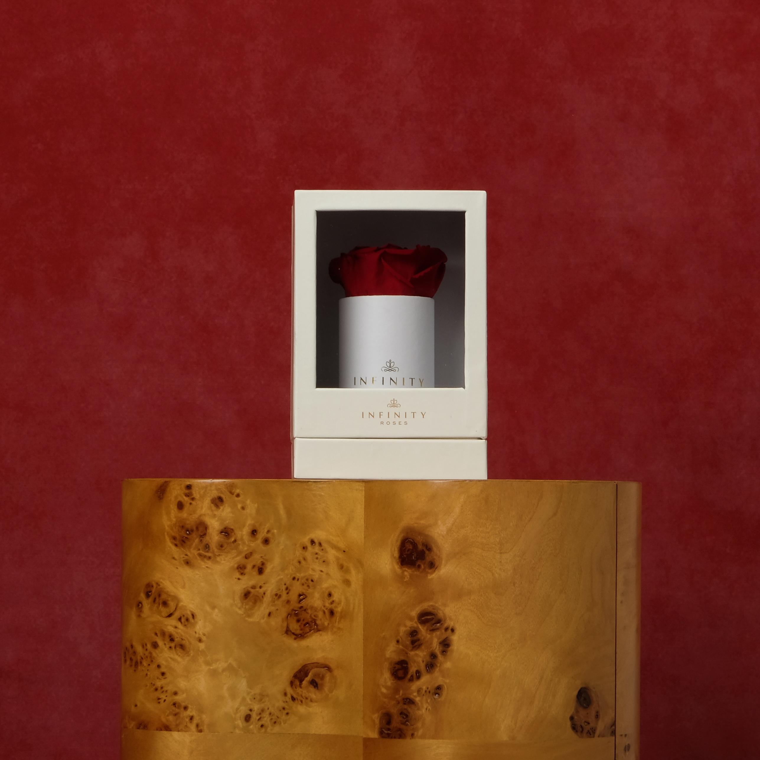 Image Carousel Slide