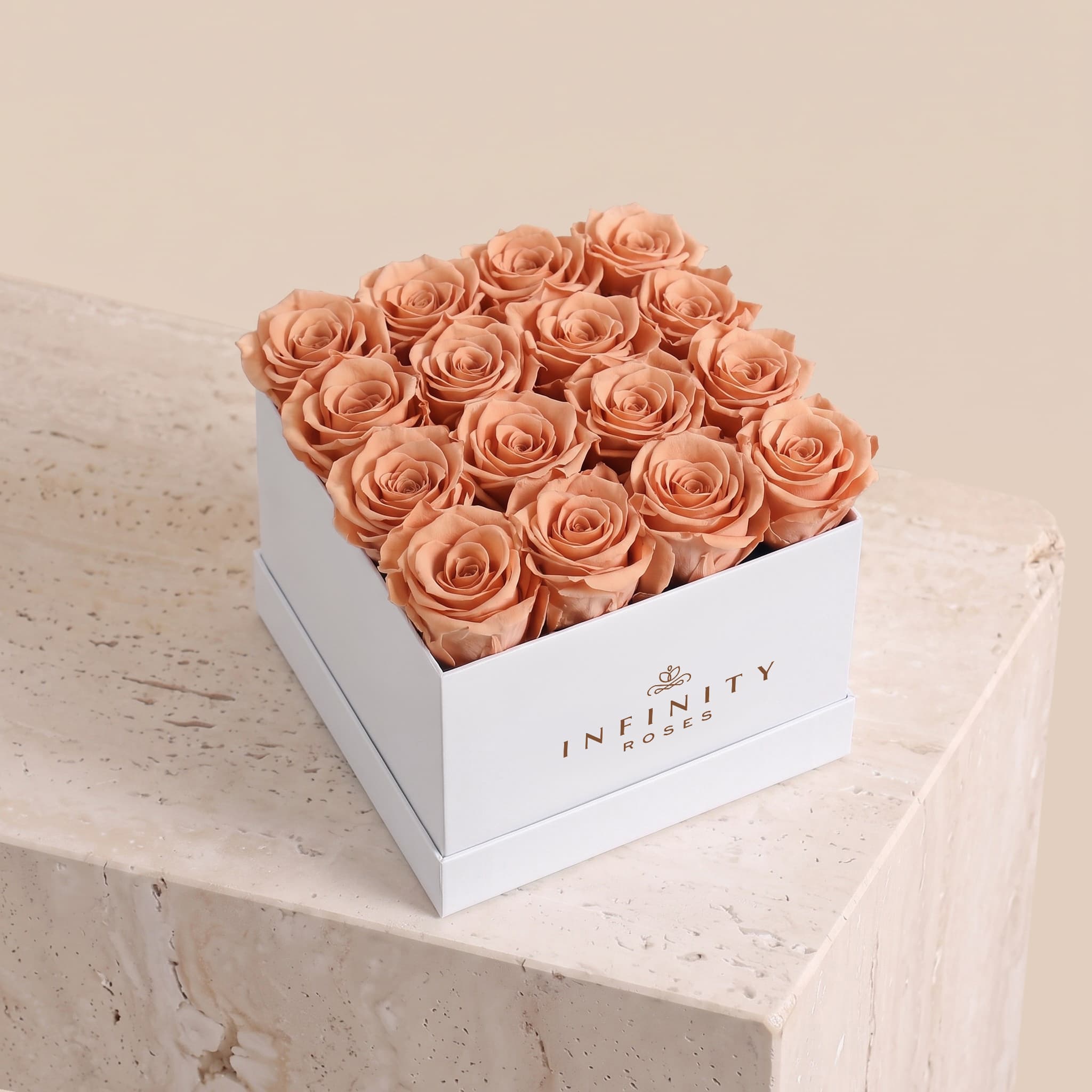 Large Square Rose Box - Chocolate Rose - White Box