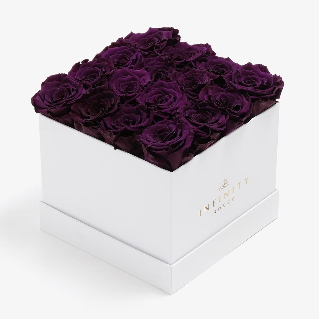Large Square Rose Box - Violet Rose - White Box