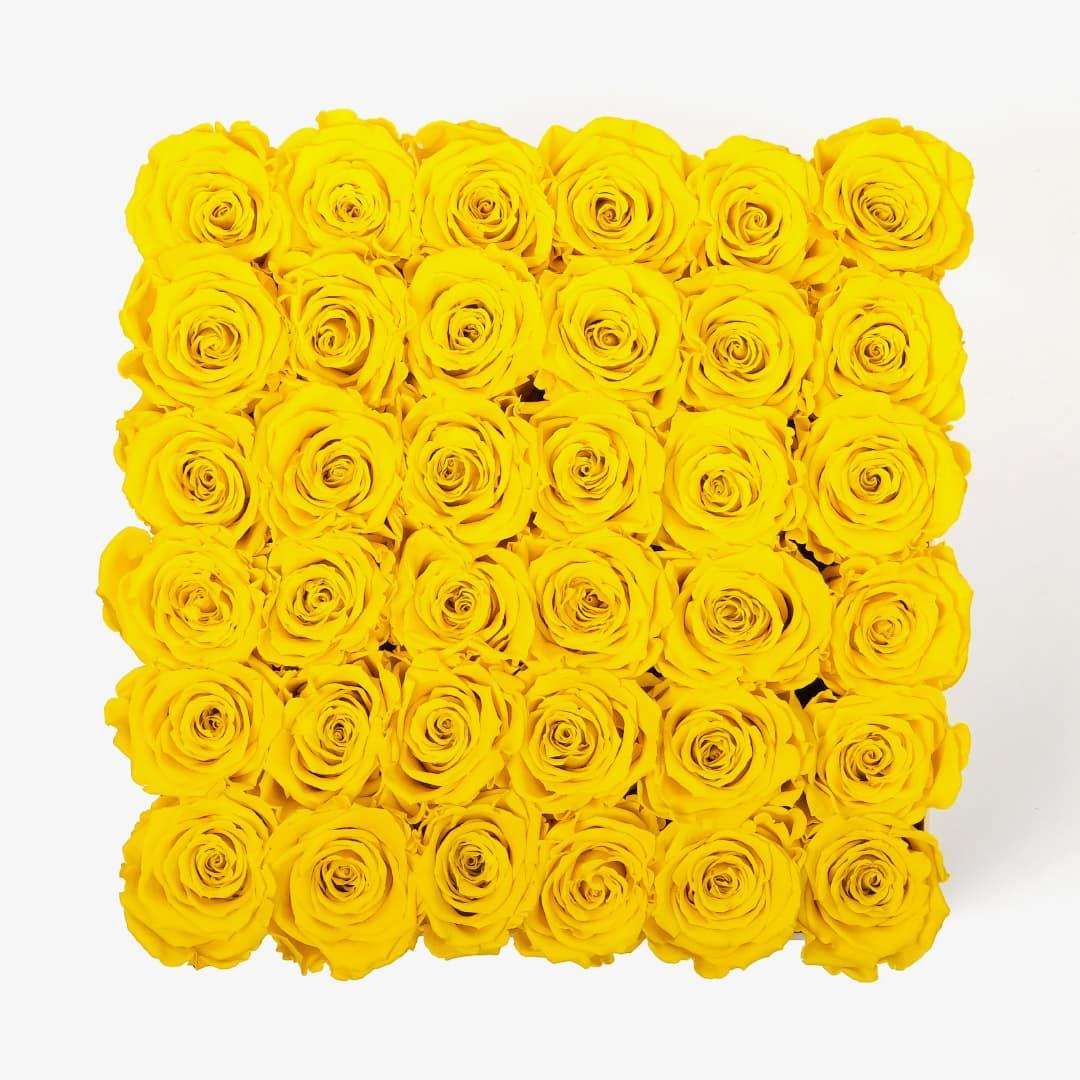 Grand Square Rose Box - Yellow Rose - White Box