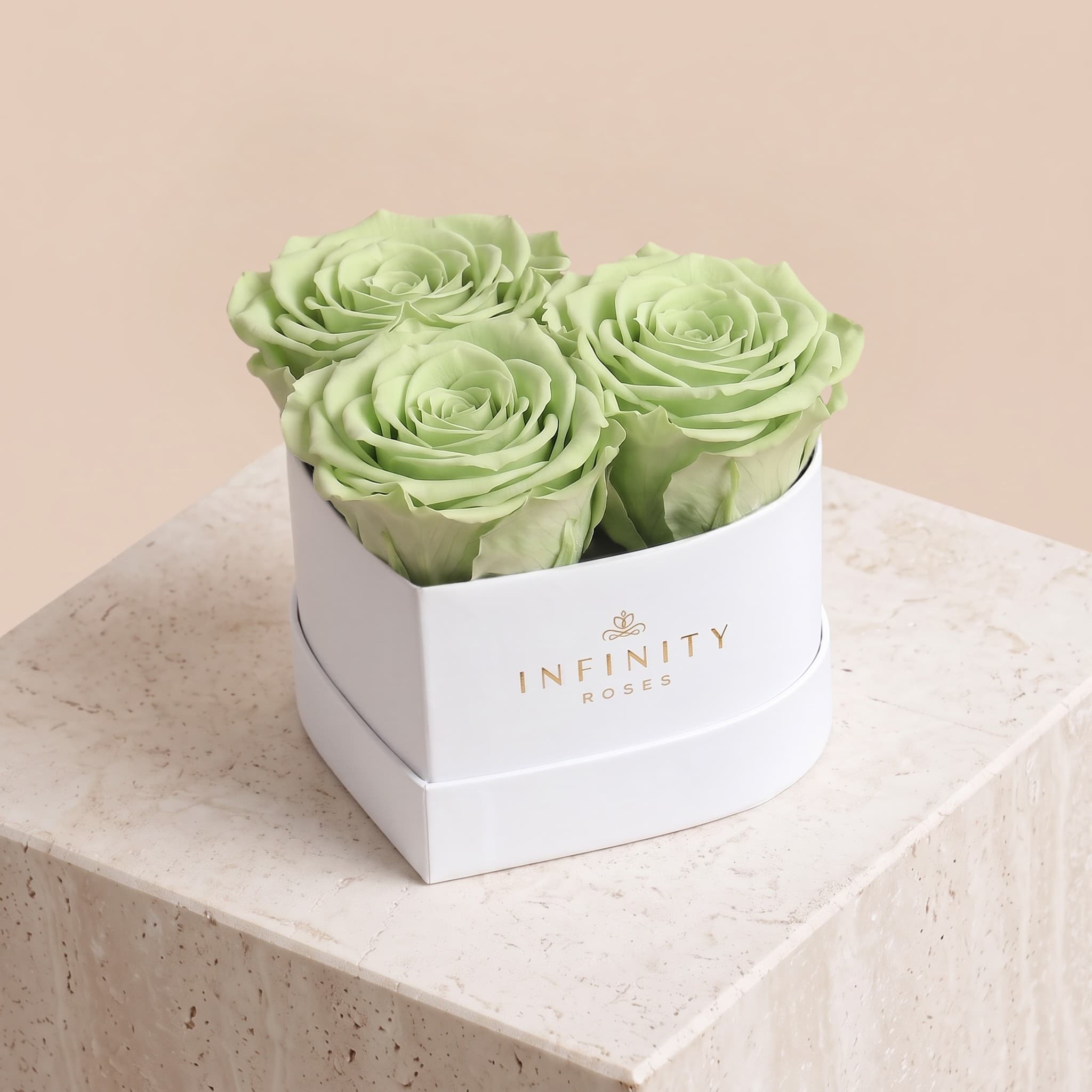 Small Heart Box - Mint Rose - White Box