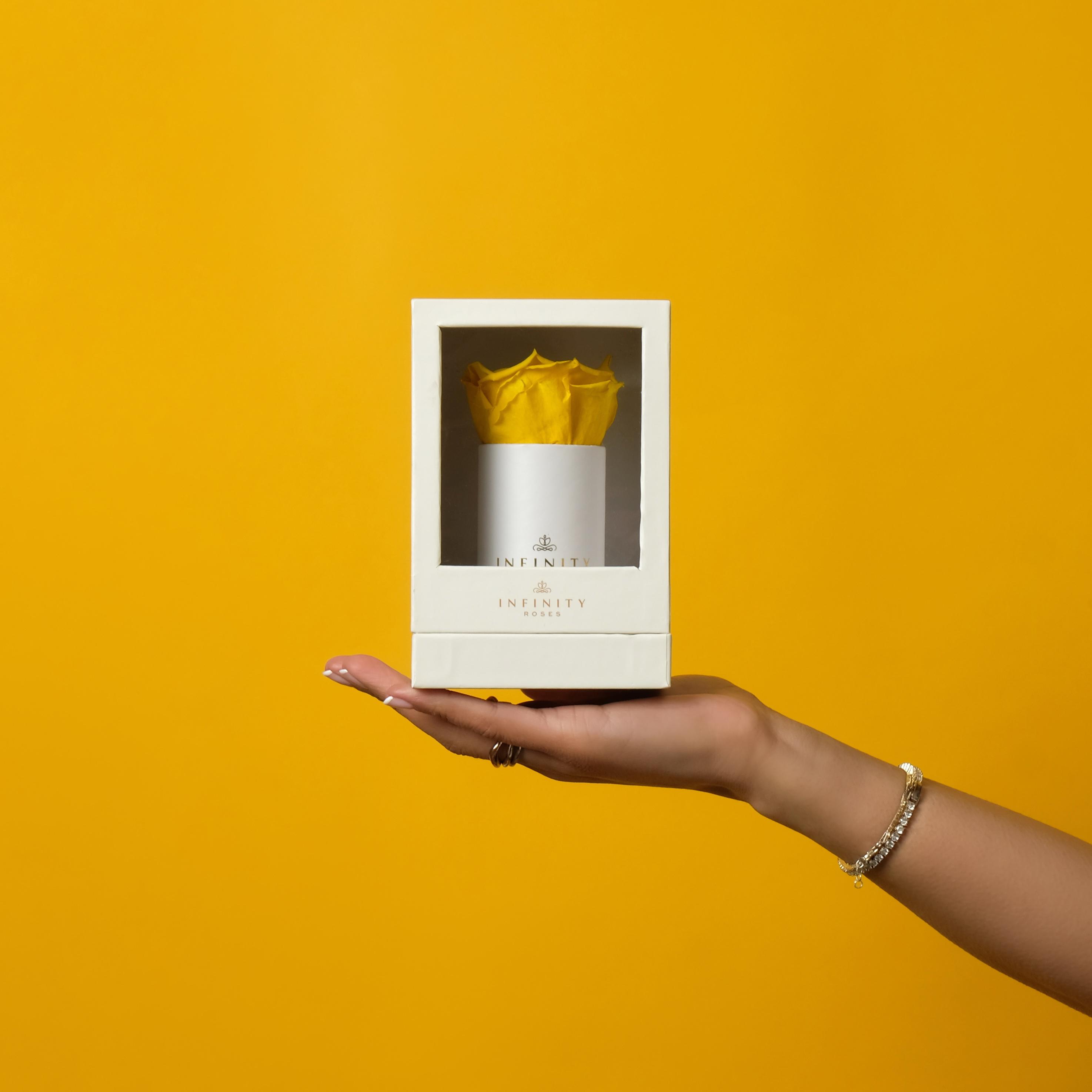 Image Carousel Slide