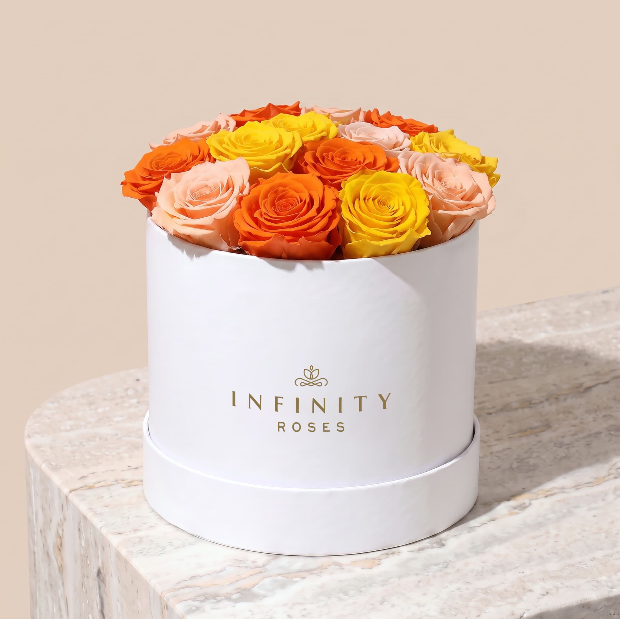 Large Bloom Rose Box - Sunset Rose - White Box
