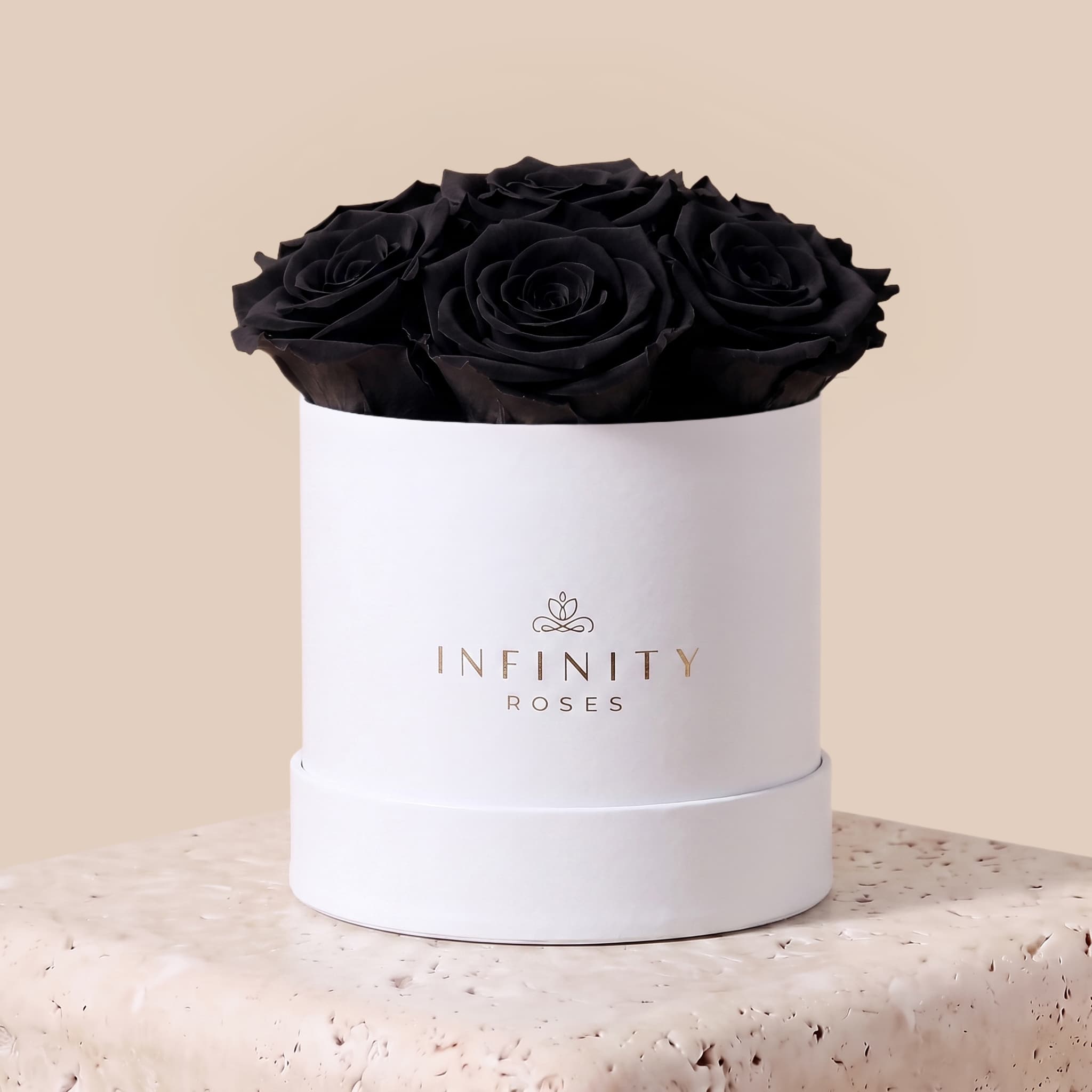 Medium Bloom Rose Box - Black Rose - White Box