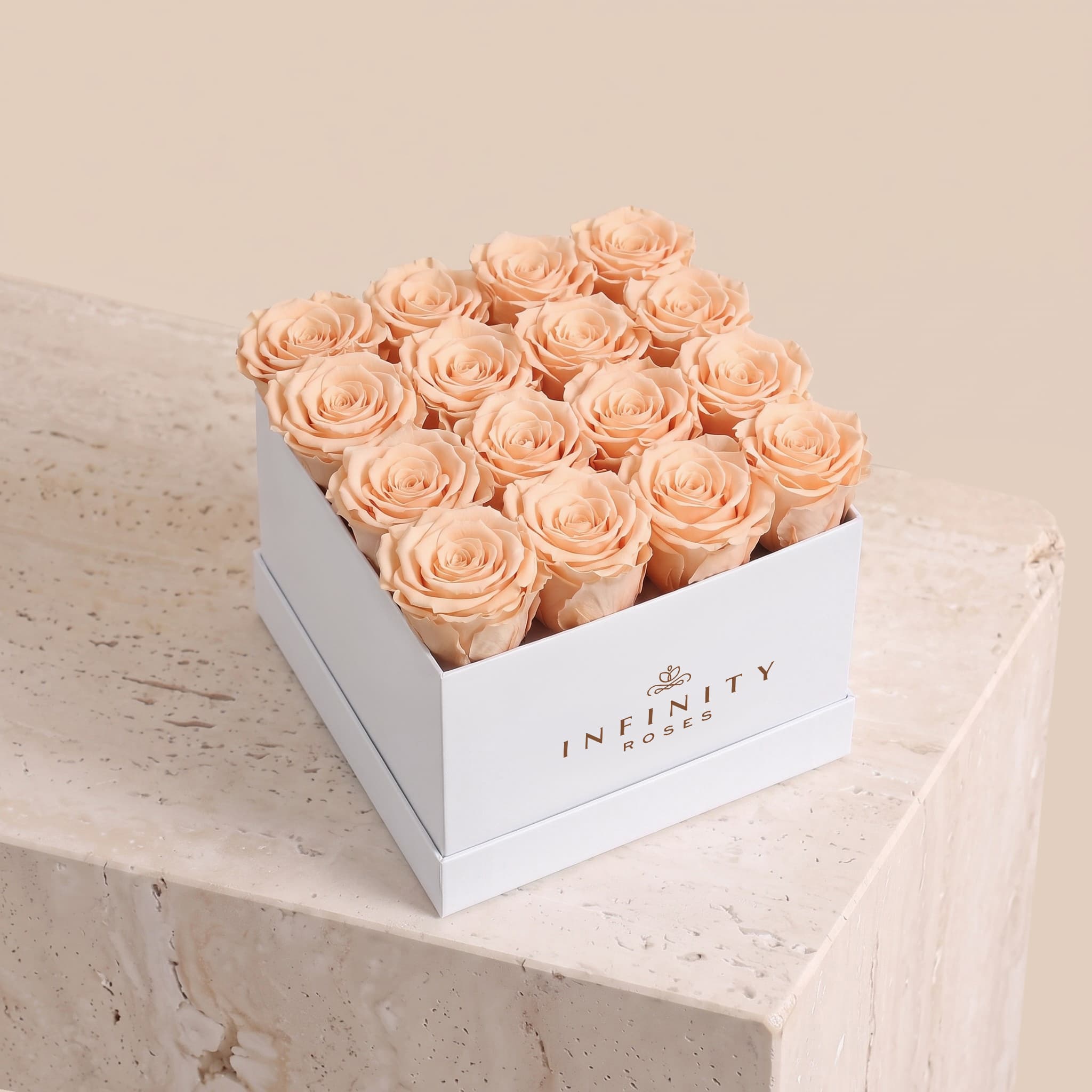 Large Square Rose Box - Champagne Rose - White Box
