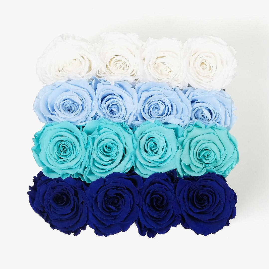 Large Square Ombre - Blue Ombre Rose - White Box