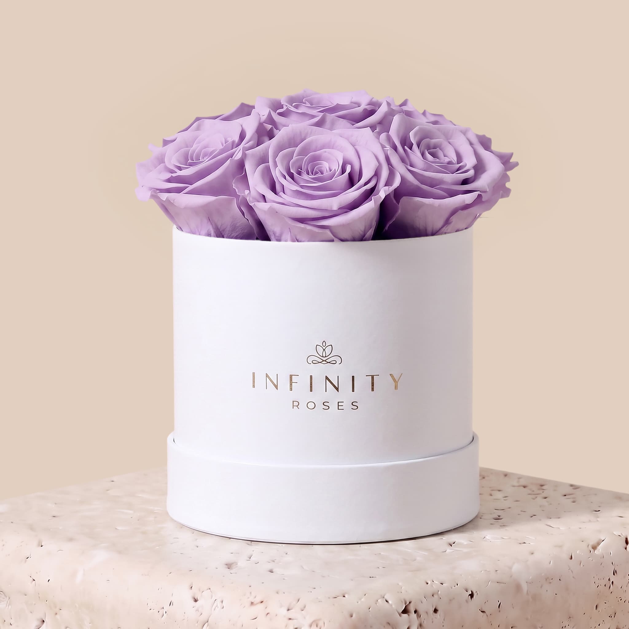 Medium Bloom Rose Box - Lavender Rose - White Box