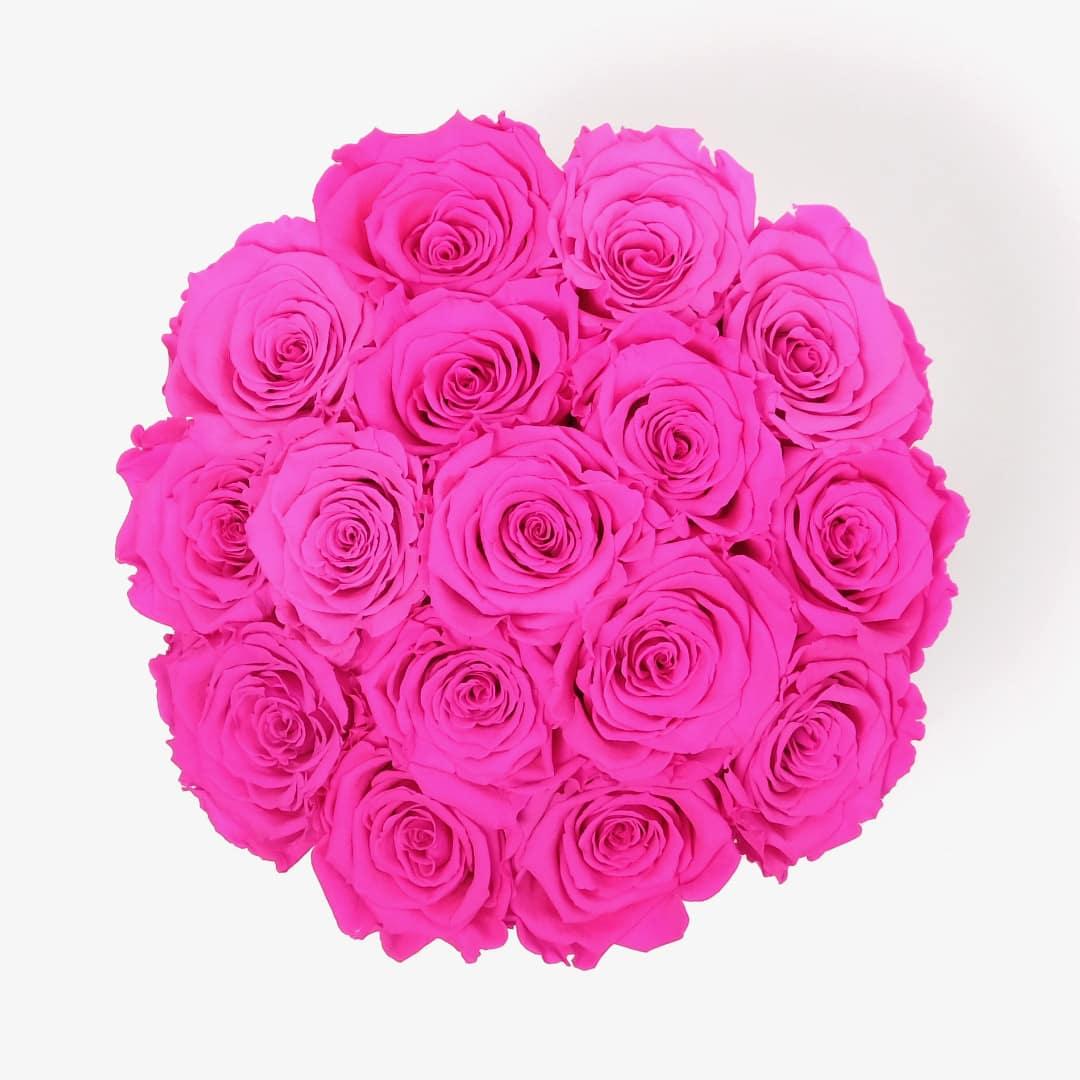 Large Bloom Rose Box - Hot Pink Rose - White Box