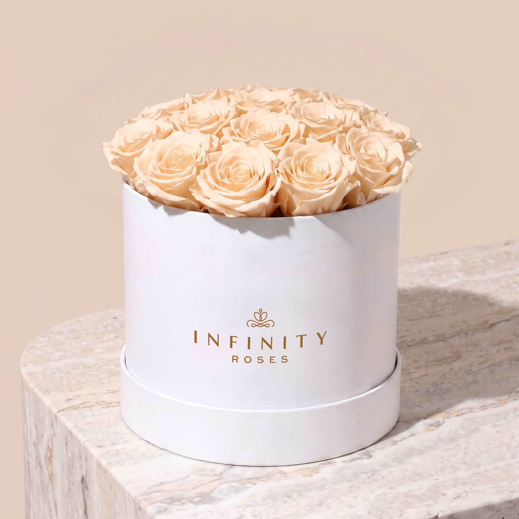 Large Bloom Rose Box - Champagne Rose - White Box
