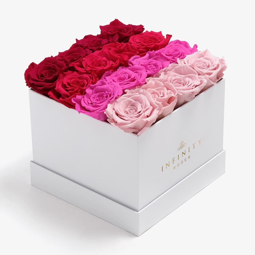 Large Square Rose Box - Pink Ombre Rose - White Box