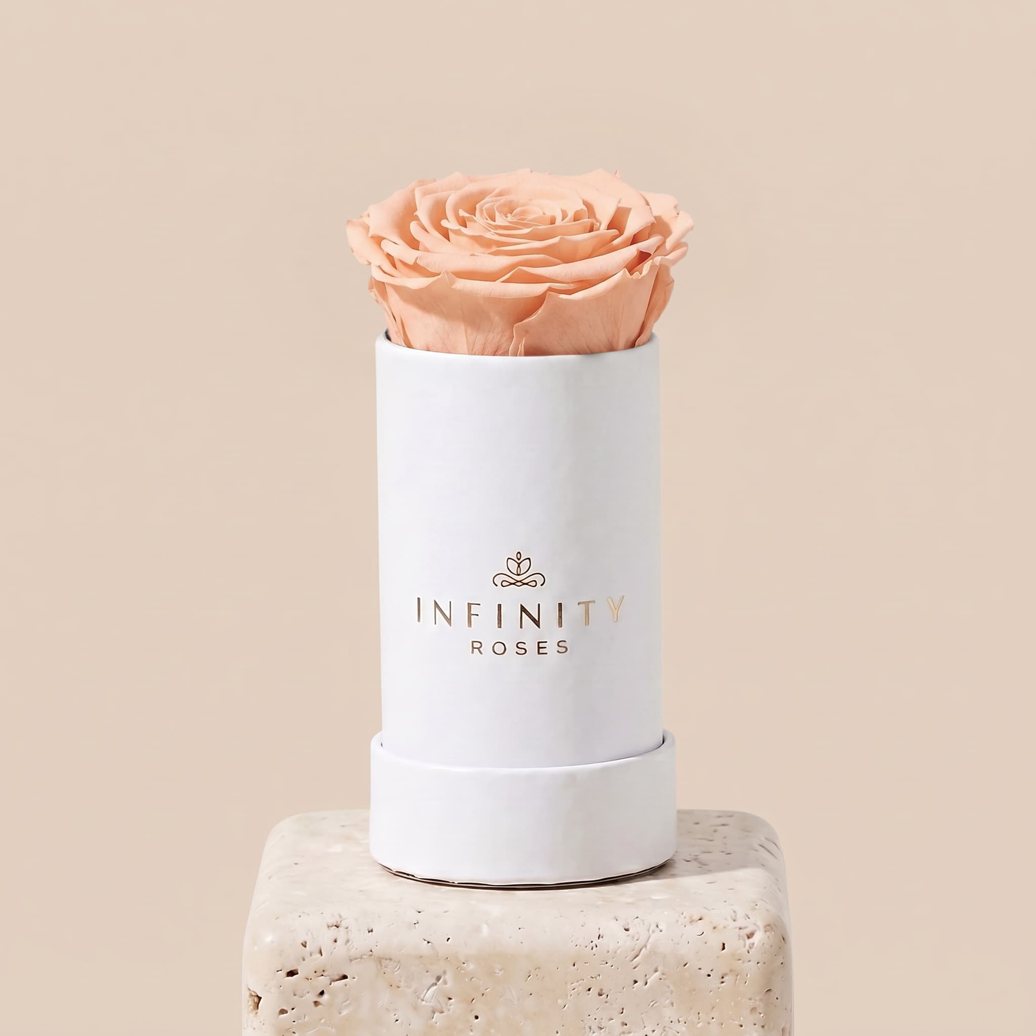 Single Rose Box - Peach Rose - White Box