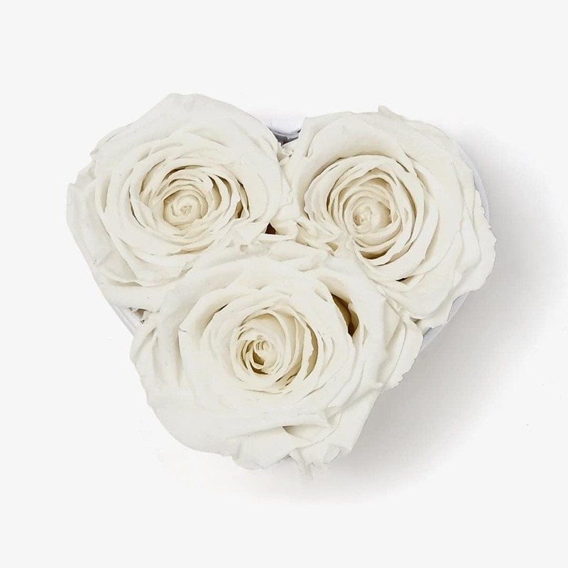 Forever Infinity Rose Heart Box - Small